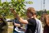 Students working outdoors for Sustainability class